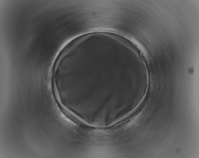 X0000093741102200711061018