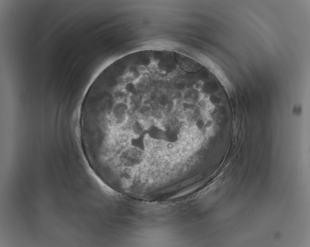 X0000093741103200711061018