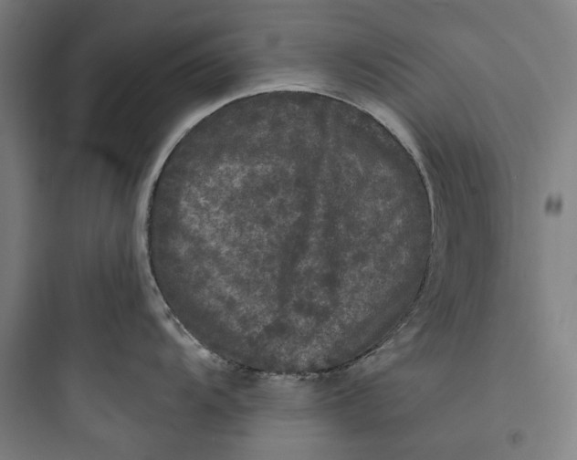 X0000093741104200711061017