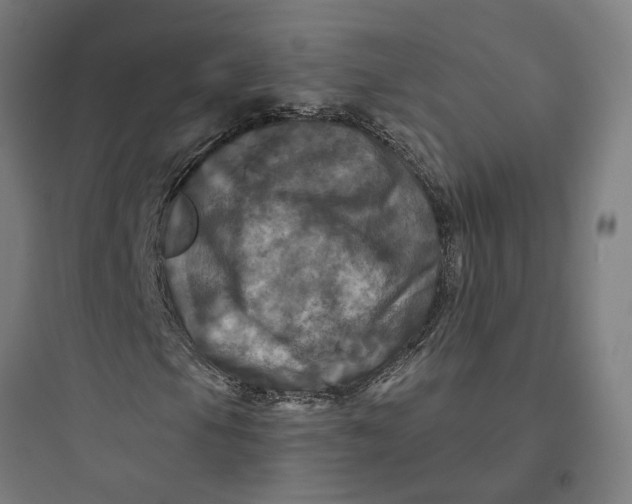 X0000093741105200711061017