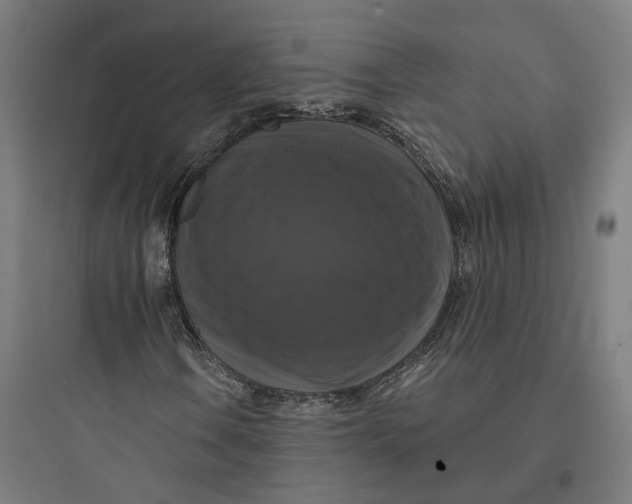 X0000093741106200711061017