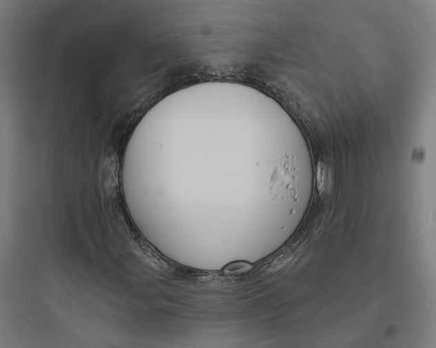 X0000093741107200711061017