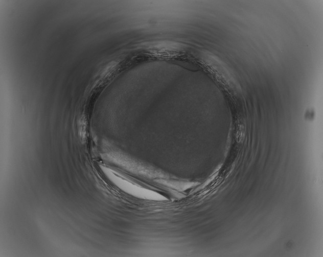 X0000093741108200711061017