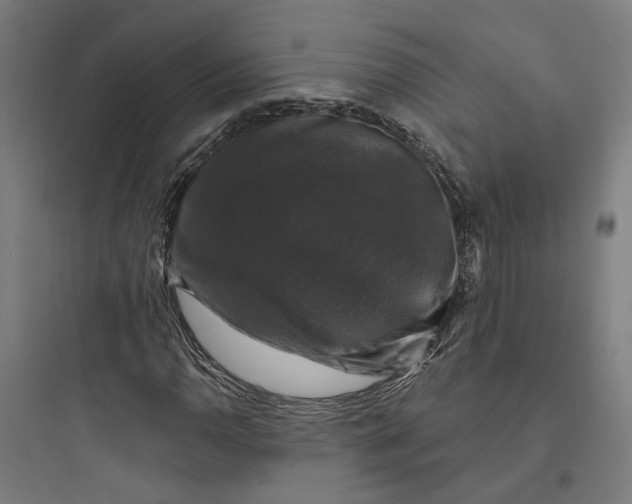 X0000093741110200711061017