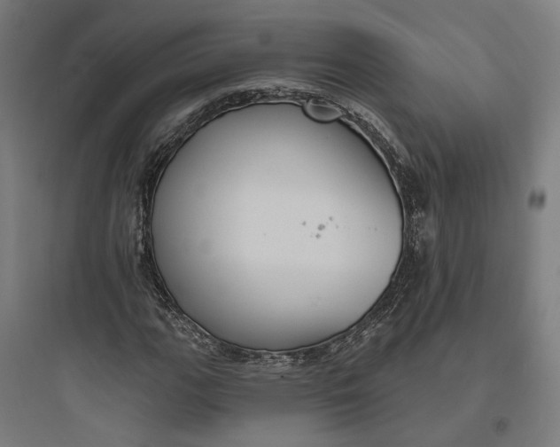 X0000093741111200711061017