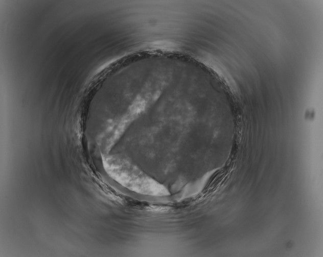 X0000093741112200711061017