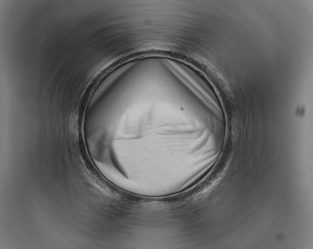 X0000093741113200711061017