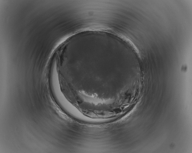 X0000093741114200711061017