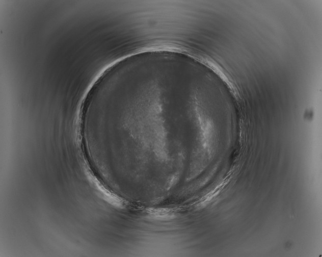 X0000093741116200711061017