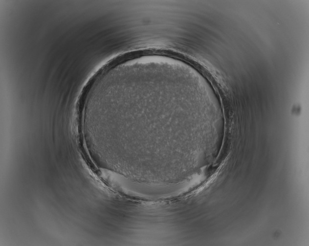 X0000093741118200711061017