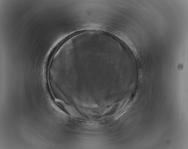 X0000093741120200711061017