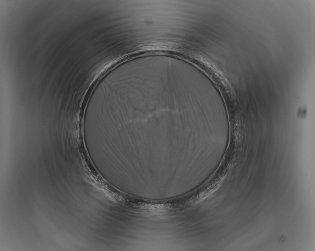 X0000093741121200711061017