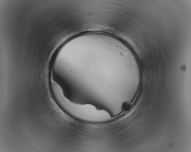 X0000093741122200711061017