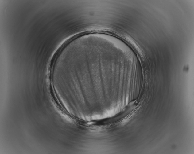 X0000093741124200711061017