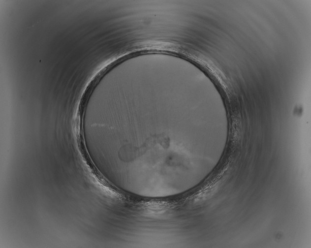 X0000093741125200711061017