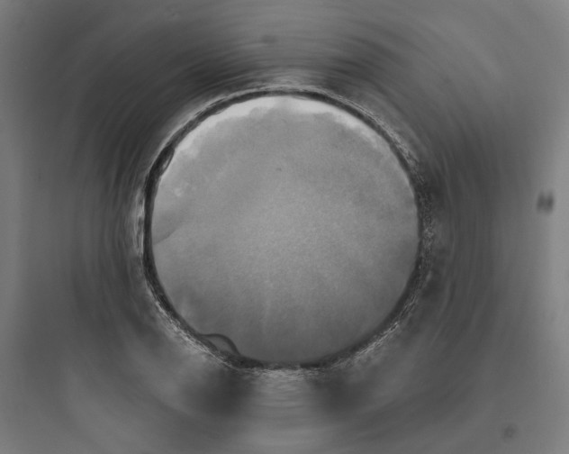 X0000093741126200711061017