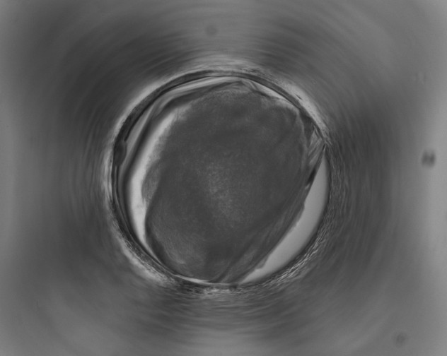 X0000093741128200711061017