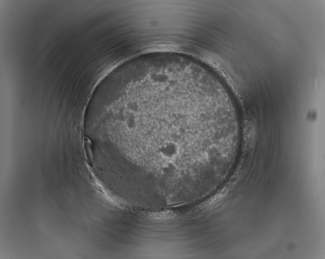 X0000093741129200711061017