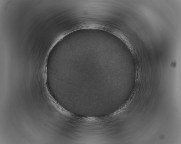 X0000093741130200711061017