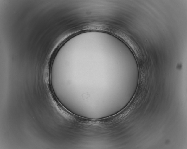 X0000093741131200711061017