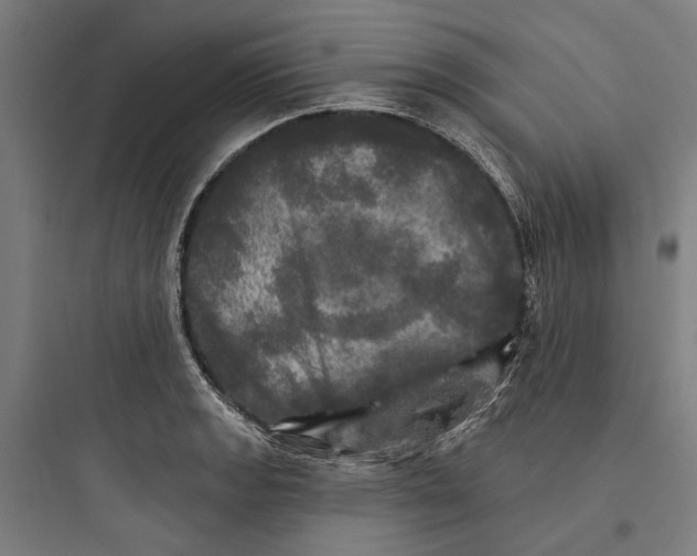 X0000093741133200711061017