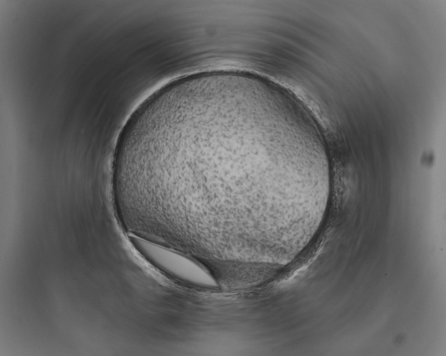 X0000093741134200711061017