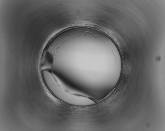 X0000093741136200711061017