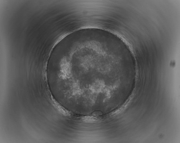 X0000093741137200711061017