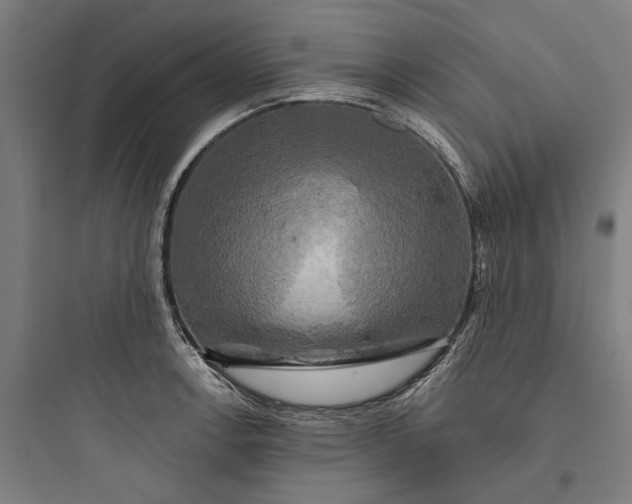 X0000093741138200711061017