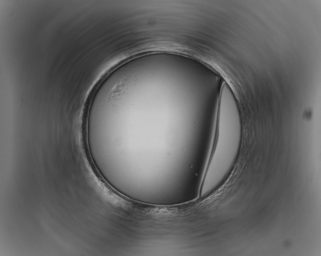 X0000093741139200711061017