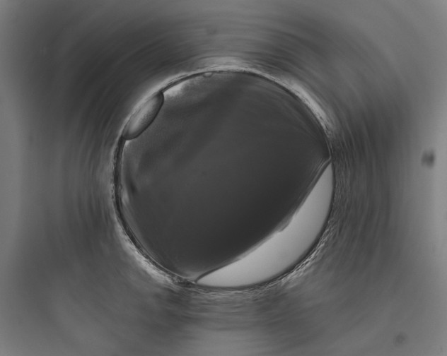 X0000093741142200711061017