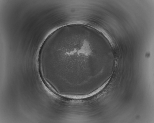 X0000093741143200711061017