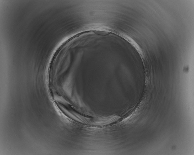 X0000093741144200711061017