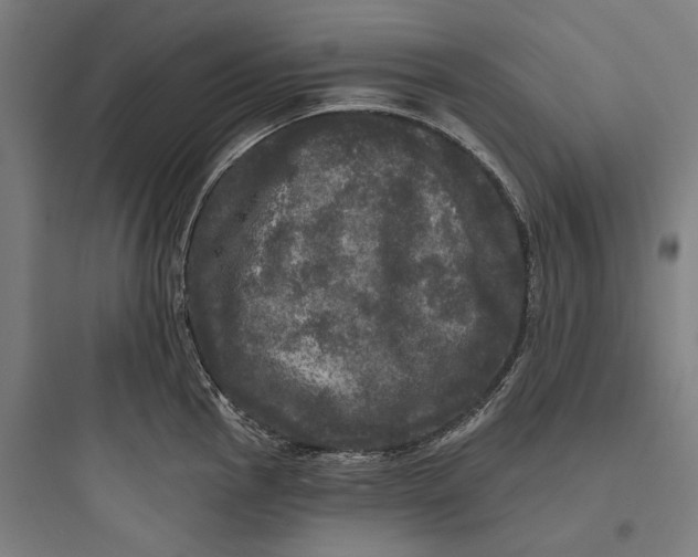 X0000093741145200711061017