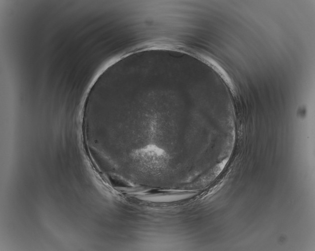 X0000093741146200711061017