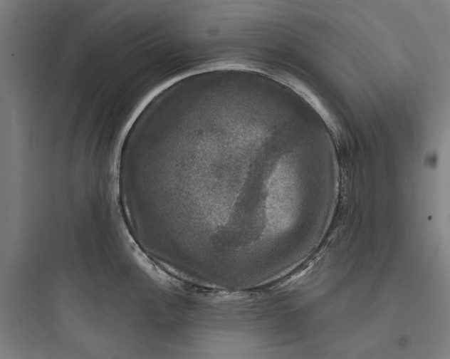 X0000093741148200711061017