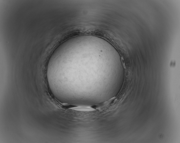 X0000093741153200711061017