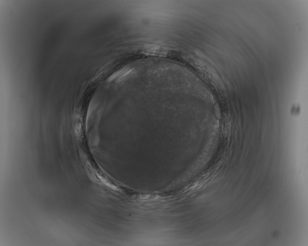 X0000093741154200711061017