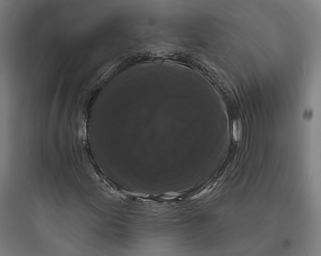 X0000093741155200711061017