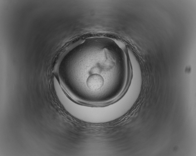 X0000093741157200711061017