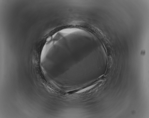 X0000093741158200711061017