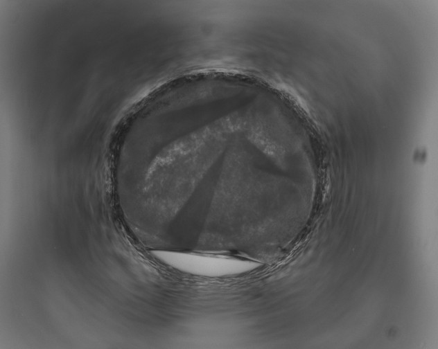 X0000093741159200711061017