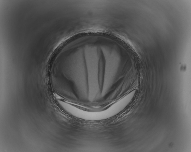 X0000093741160200711061017