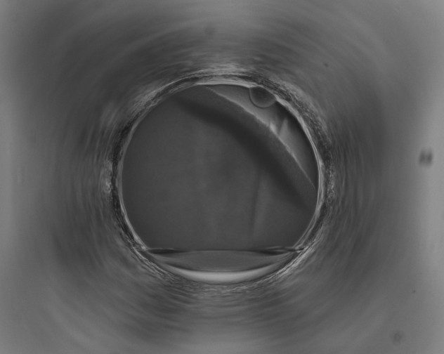 X0000093741161200711061017