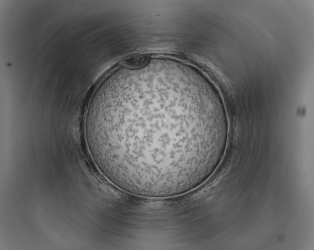 X0000093741162200711061017