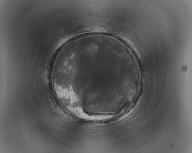 X0000093741163200711061017