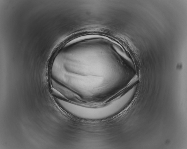 X0000093741164200711061017