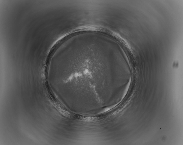 X0000093741166200711061017