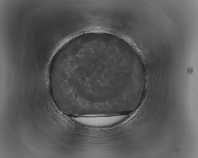 X0000093741167200711061017