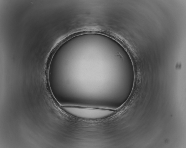 X0000093741168200711061017